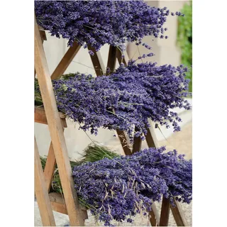 Art for the home Garten Holz 70x50 cm