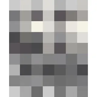 Biederlack Check 150 x 200 cm graphit