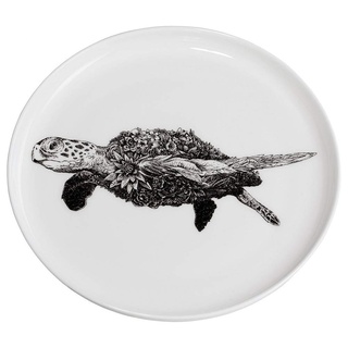 Maxwell & Williams DX0529 Teller Green Sea Turtle – Schwarz-weiß – 20 cm Durchmesser – Porzellan – mit Schildkröten-Motiv, in Geschenkbox