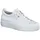 white 37