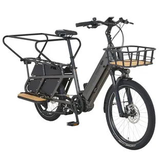 Prophete Urbanicer 4.0 Urban E-Bike 20"/24"