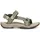 seagrass 40