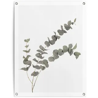 Reinders! Poster »Eukalyptus«, Outdoor für Garten oder Balkon, 64265910-0 Grün B/H/T: 60 cm x 80 cm x 0,1 cm