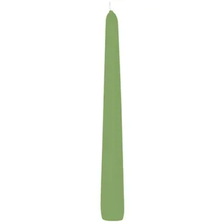 Wiedemann Kerzen Spitzkerzen Pastell Grün Aloe Vera 250 x Ø 25 mm, 8 Stück