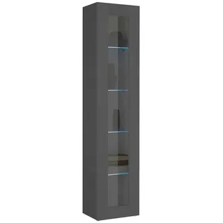 Dmora Vitrine Vladimiro, Sideboard mit 1 Tür mit Glasregalen, Mehrzweck-Wohnmöbel, 100% Made in Italy, cm 40x30h180, Anthrazit