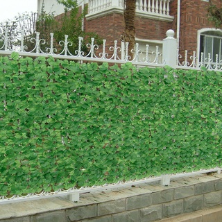 Blätterzaun Efeu Sichtschutz 150x300 cm