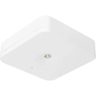 Fischer Sicherheitsleuchte SLM-D31USC