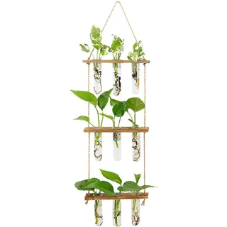 Wandmontierte Glasvase Für Hydrokultur – Blumentopf – Braun