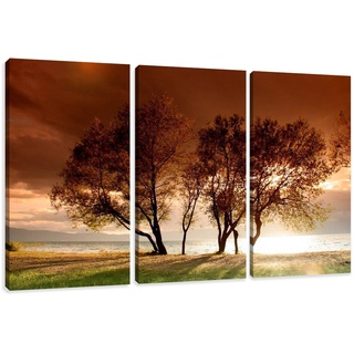 Visario Leinwandbilder 1025 Bild auf Leinwand Natur, 160 x 90 cm, 3 Teile