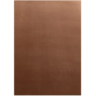 Ayyildiz SKY 5400 Kurzflorteppich 160 x 230 cm Braun