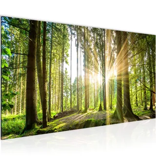 Runa Art Wandbild Wald Landschaft 1 Teilig 100 x 40 cm Modern Bild auf Vlies Leinwand Sonne Schlafzimmer Wohnzimmer Grün 503812b