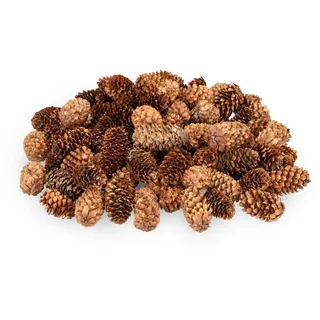NaDeco Kleine Fichtenzapfen in Natur, ca. 2-4cm, 180 g, ca. 80-100 STK. | Picea asperata | Tannenzapfen | Borstenfichte | Tannenzapfen | Naturzapfen | Kiefernzapfen | Weihnachtsdeko | Adventsdeko