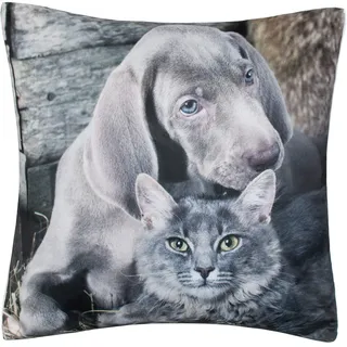 Brandsseller Dekokissen Zierkissen mit Tiermotiv - 40 x 40 cm - Dogge Welpe und Katze