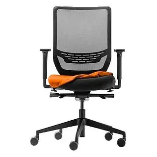 Trendoffice by Dauphin Sitzkissenbezug orange, 1 St.
