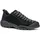 Black 43,5