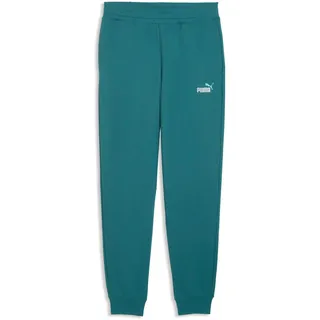 Puma Essentials 2 Color No. 1 Logo Sweatpants TR cl Grün M