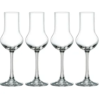 Nachtmann Vivendi Obstbrandgläser 4er Set transparent