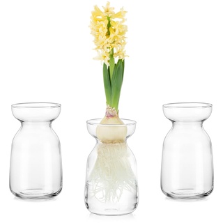 Glasseam Kleine Vasen für Tischdeko, Modern Flower Vase Glas Tulpenvase Design, Durchsichtig 3 Vasen Set für Hyazinthe Pflanzen Anzucht, Dekorative Blumen Vasen Deko für Hochzeit Wohnzimmer