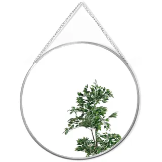 GreyZouq Silberner runder Wandspiegel mit Kette, Metallrahmen, runder Wandspiegel für Badezimmer, Schlafzimmer, Flur und Wohnzimmer (30 cm)