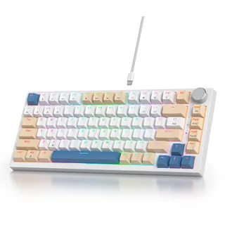 SOLIDEE Verkabelte Mechanische Gaming Tastatur 75 Prozent,hot-swap-fähige Mechanische Tastatur mit Gasket Struktur,RGB Hintergrundbeleuchtung,82 Tasten TKL Tastatur mit Drehknopf(82 Soy Milk)