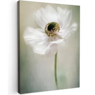 MuchoWow© Wandbilder Wohnzimmer Wanddeko Blumen Leinwandbild Schlafzimmer | 50x70 cm - Zimmerdeko Fotowand Zimmer Deko Wand Dekoration Wall Art - Natur - Anemone - Weiß