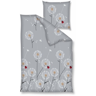 Bettwäsche Baumwolle, Traumschloss, Renforcé, 3 teilig, Pusteblumen, Marienkäfer, grauer Hintergrund grau