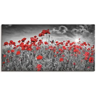 Wandbild ARTLAND "Idyllisches Mohnblumenfeld mit Sonne", schwarz (farbe bild(er): schwarz), B:150cm H:75cm, Bilder, als Alubild, Leinwandbild, Poster in verschied. Größen