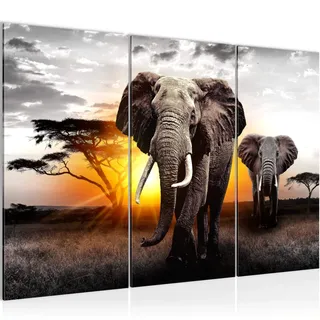 Runa Art Wandbilder Afrika Elefant Bild XXL Wohnzimmer Schlafzimmer Grau Orange Panorama 120 x 80 cm 3 Teilig 007631a