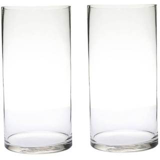 YARDWE 2st Zylindrische Vase Aus Glas Glaszylindervase Masse Glasvase Zylindervasen Saftiges Terrarium Klarer Zylinder Kleine Vase Dekorative Blumenvasen Große Dekoration Breiter Mund