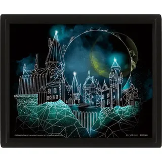 Pyramid International 3D-Linsenrahmen – Echte Bewegung und Tiefe – Harry Potter – Hogwarts – Geschenkidee zum Geburtstag – 25,5 x 20,5 cm – offizielles Lizenzprodukt
