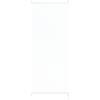 Livarno Home Plissee Rollo Für Türen und bodentiefe Fenster Blickdicht (80 x 200 cm, Weiß)