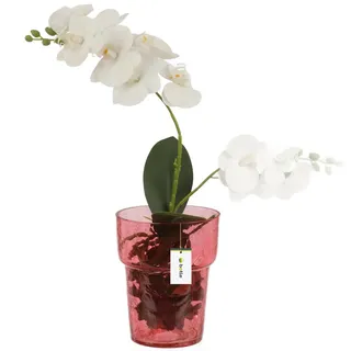 Blumentopf Blumenübertopf Glas, für Orchideen Orchideentopf D 15,5cm H 18 cm Rot