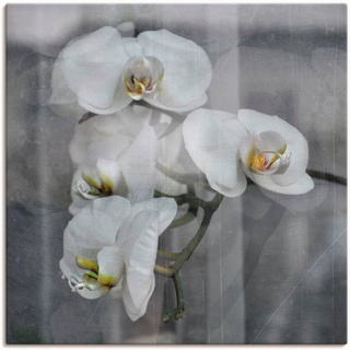Artland Wandbild Weisse Orchideen - white Orchid, Blumen (1 St), als Leinwandbild, Wandaufkleber in verschied. Größen schwarz 40 cm x 40 cm