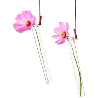 Tuuters 5X Reagenzglashalter für Blumen mit Reagenzglas, Blumenvase zum Aufhängen