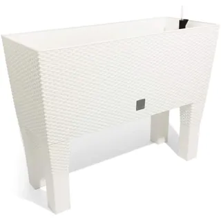 Prosperplast Rato Case High 80 x 33 x 62 cm weiß