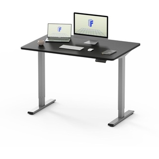 FLEXISPOT EF1 120x80cm Elektrisch Höhenverstellbarer Schreibtisch Schnelle Montage Memory Handsteuerung Sitz-Stehpult für Büro(Schwarze+ graue...