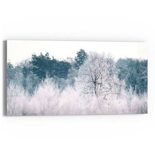 DEQORI Glasbild 'Eisiger Morgen im Wald', 'Eisiger Morgen im Wald', Glas Wandbild Bild schwebend modern schwarz|weiß