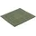 60 x 60 cm evergreen