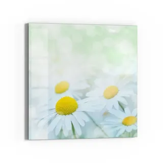 DEQORI Magnettafel 'Frühlingsgänseblümchen', Whiteboard Pinnwand beschreibbar gelb|grün|weiß 50 cm x 50 cm
