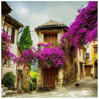 Wallario Glasbild, Malerische Stadt in der Provence mit bunten Blumen, in verschiedenen Ausführungen gelb