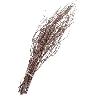 PRETYZOOM Birkenzweige Holzstäbchen 40cm Trockene Zweige Dekoration Heimornament Rustikal Selbstgemacht Basteln