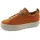orange 39