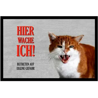 Ladreas Fußmatte Schmutzfangmatte Gefahr Katze Hier wache ich F379, 60x40 grau 60x40 | 40 cm x 60 cm