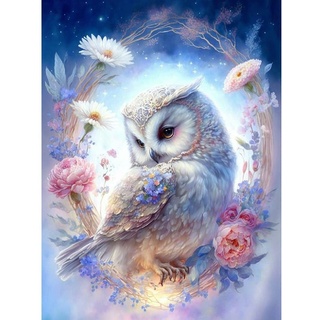 cdsnxore DIY Diamond Painting, Diamond Art Painting Owl Kits for Adults Embroidery Pictures Arts Crafts for Beginner Home Wall Decor 30 × 40 cm (White)