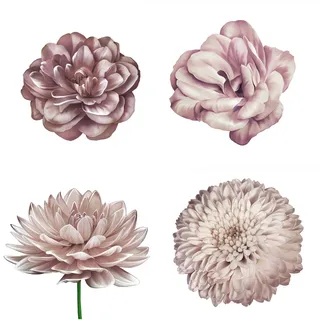 Wandtattoo QUEENCE "Mila" Wandtattoos Gr. B/H: 90 cm x 90 cm, Blume, rosa Wandtattoos Natur