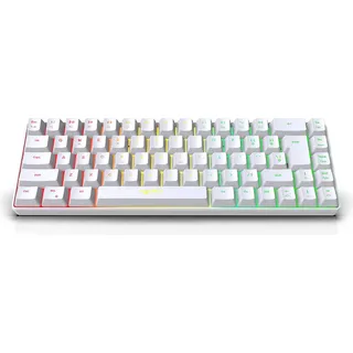 HXSJ V200 K68 68-Tasten-Minitastatur, mehrere RGB-Lichteffekte | 19 Tasten konfliktfrei | ABS-Injektionstastenkappen, weiß - Weiß