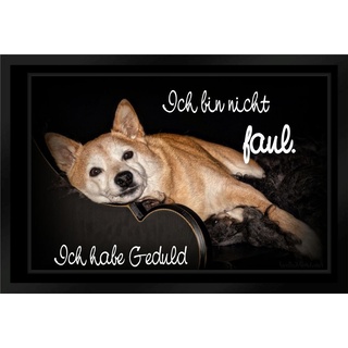 Fußmatte Schmutzfangmatte Hund Faul Geduld F405, Ladreas, 60x40 schwarz 60x40 - 40 cm x 60 cm