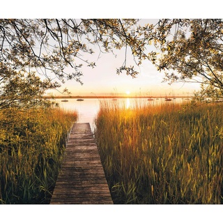KOMAR Vliestapete Lakeside 300 x 250 cm