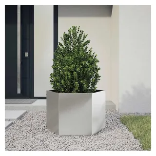 vidaXL Sechseckig 69 x 60 x 45 cm Weiß