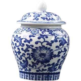 Chinesische blaue und weiße keramische glasierte Tempelvase mit Deckel zart